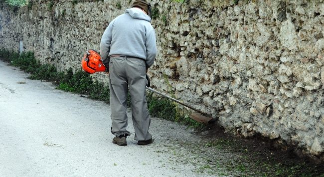 Vibo città della cultura. Presentato il Festival “Leggere&Scrivere”