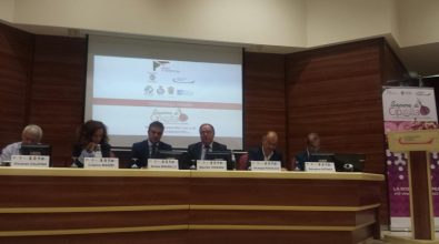 L’Expo sbarca nel Vibonese al “Sapere di Cipolla”