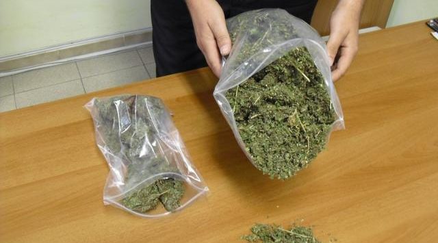 Trovato in possesso di oltre un chilo di marijuana e 50 piantine. Il gip dispone i domiciliari