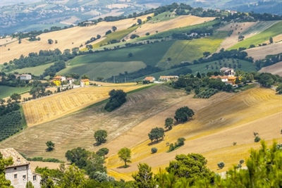 Sviluppo rurale, tre Comuni del Vibonese uniscono le forze per i fondi Ue