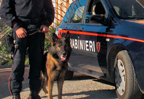 Nuovo ordine di arresto per l’armiere dei Mancuso