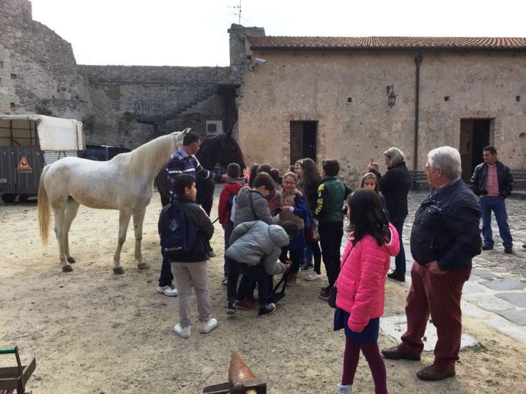 Settimana della Dieta mediterranea, inaugurata ieri la rassegna del Club Unesco