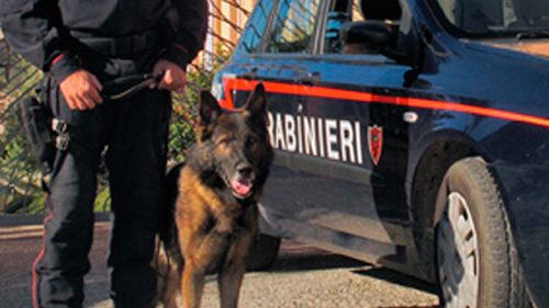 Sicurezza: sanzioni e sequestri dei carabinieri nelle Serre