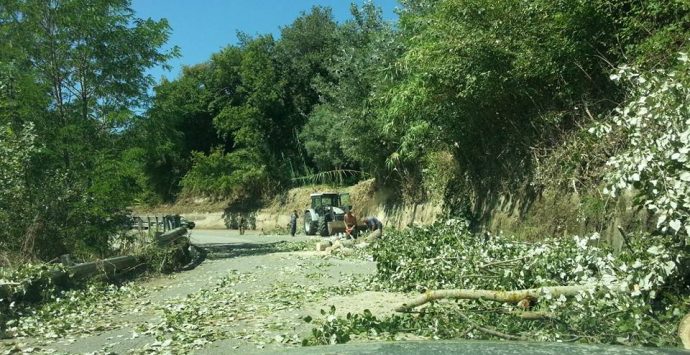 Buche e sterpaglie sulla strada provinciale, intervengono i cittadini