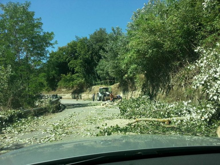 Buche e sterpaglie sulla strada provinciale, intervengono i cittadini