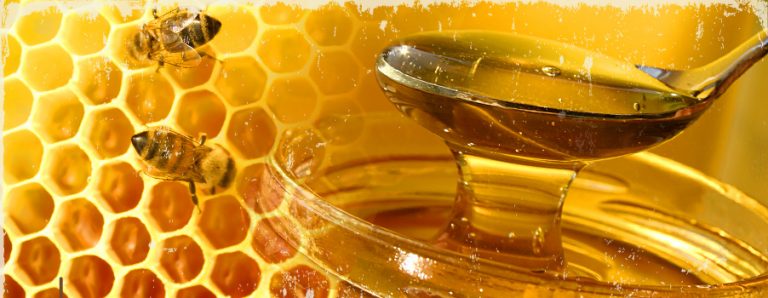 Ladri “golosi” in azione a Filadelfia, rubato miele per 20mila euro