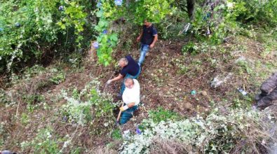 Pizzo, avviata la pulizia dei fossi di scolo