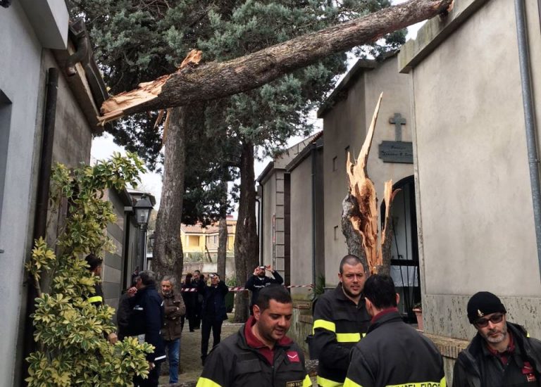 Vento forte, alberi abbattuti anche nel cimitero di Piscopio – FOTO