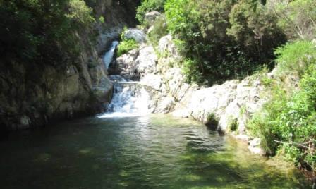 A pesca di trote con la corrente elettrica, tre denunce