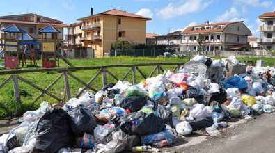 Rifiuti, parla Piperno: «Sulla raccolta rischio dejà vu»