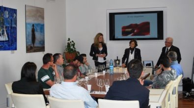 Conoscere il vino, alla Camera di commercio il corso rivolto ai ristoratori