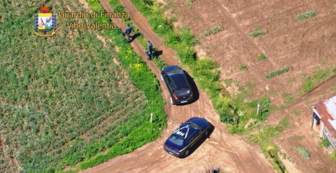 Truffa all’Unione europea nel settore agricolo, sequestri e segnalazioni nel Vibonese