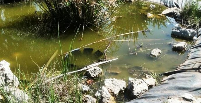 Verde pubblico nel degrado, ecco le proposte del Pd