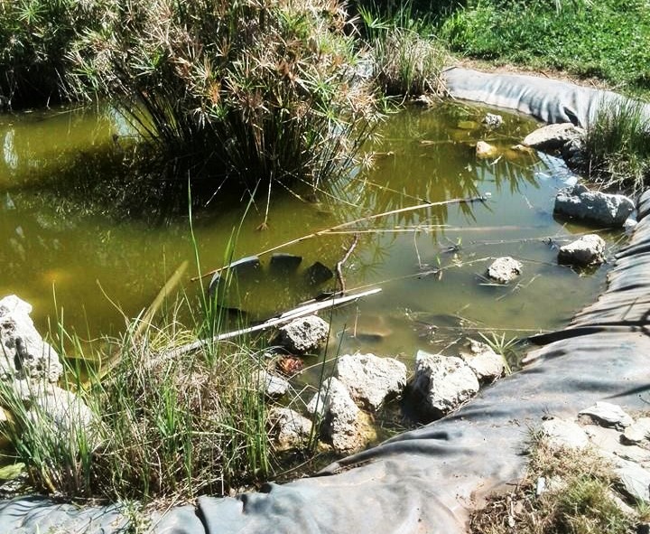 Verde pubblico nel degrado, ecco le proposte del Pd