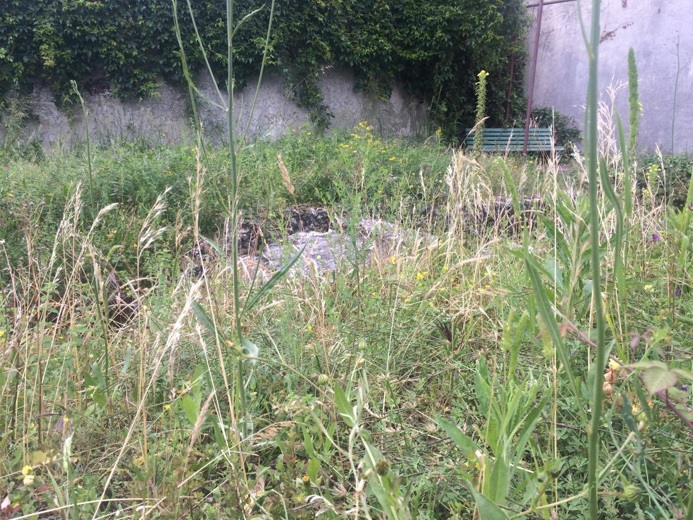 Progetto comune per Ionadi incalza la maggioranza: «Valorizzare la villa comunale»