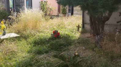 Abbandono e incuria al cimitero di Piscopio