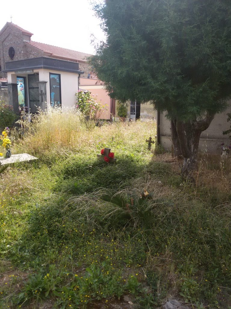 Abbandono e incuria al cimitero di Piscopio