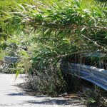Un tratto della Ss 522