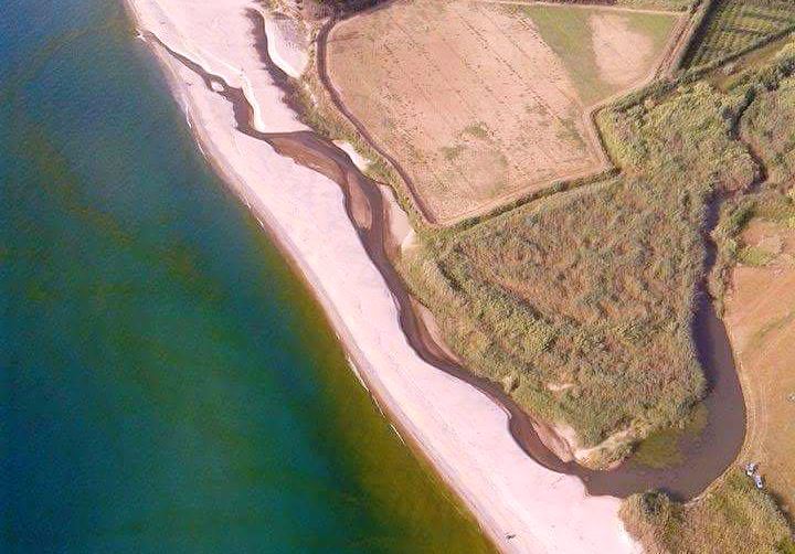 Mare verde a Pizzo, Callipo: «Solo fioritura algale. Acque eccellenti»