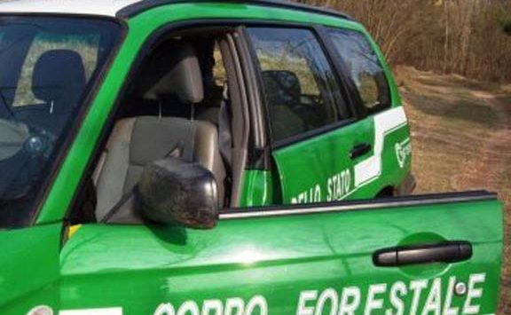 Serra San Bruno, si smarriscono cercando funghi: soccorsi