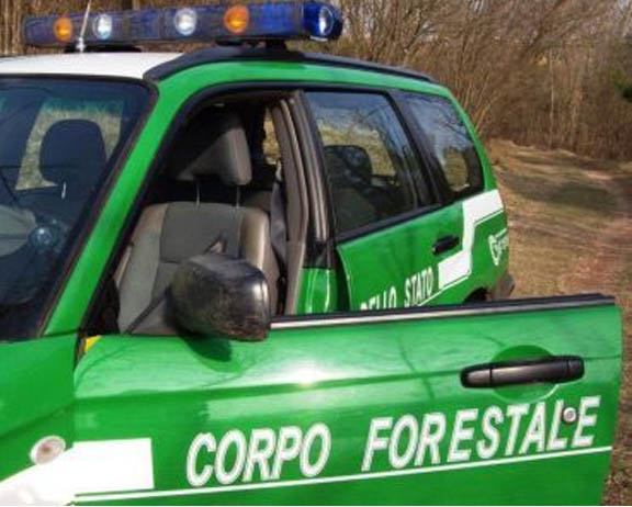 Serra San Bruno, si smarriscono cercando funghi: soccorsi