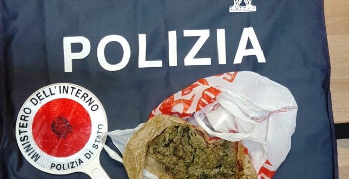 Trovato con 35 grammi di marijuana in auto, arrestato 26enne vibonese