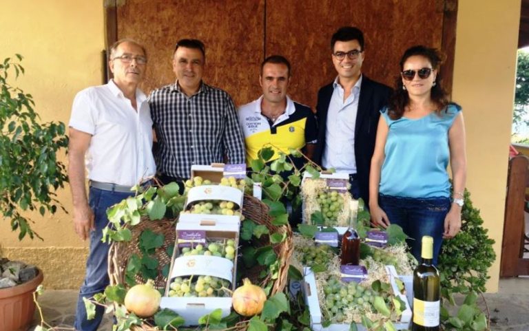 Pizzo, ufficialmente al via il presidio Slow food a tutela dello Zibibbo