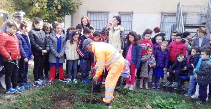 A Sant’Onofrio celebrata la “Giornata dell’albero”