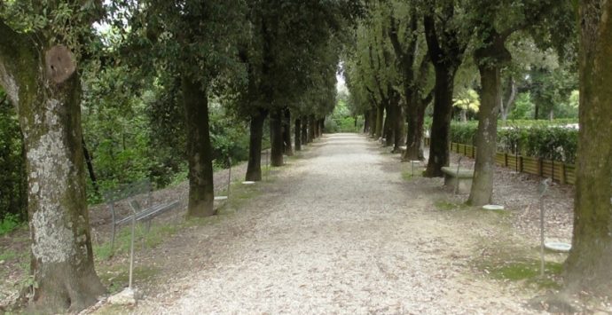 4 novembre | Il Parco delle Rimembranze luogo della memoria