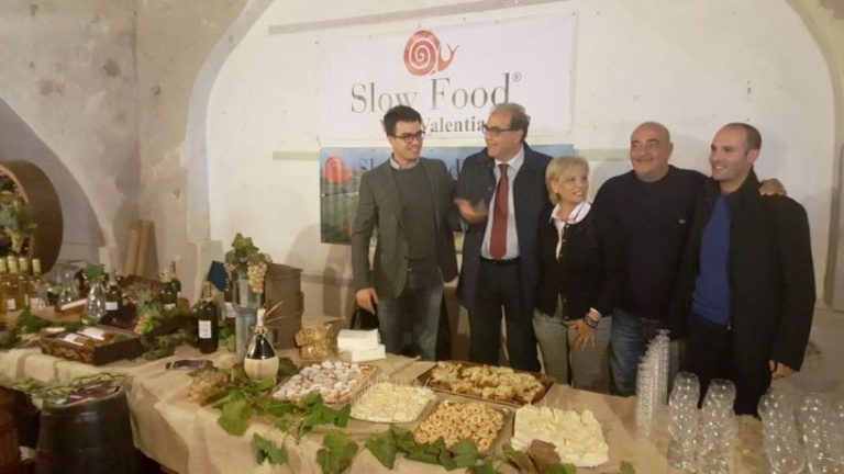 Pizzo, il presidio Slow food dello Zibibbo è realtà