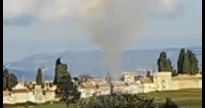 VIDEO | Cipresso in fiamme nel cimitero di Vibo