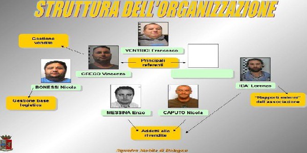 Narcotraffico internazionale: inchiesta “Pigna d’oro”, vibonesi condannati a Bologna