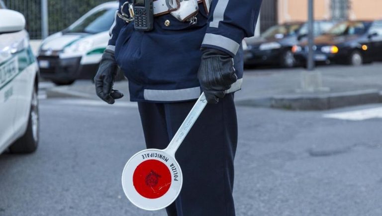 Pulizia dei terreni incolti a Vibo, la Municipale annuncia sanzioni