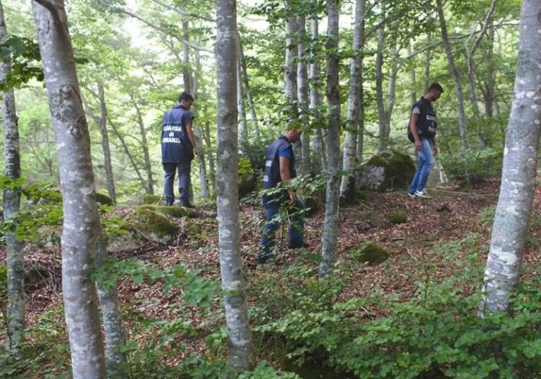 I “cacciatori d’erba” vibonesi sull’Espresso: «Così combattiamo i narcos della Colombia d’Italia»