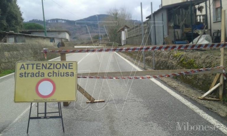 VIDEO | Viabilità da incubo: viaggio sulle strade “fantasma” dell’entroterra vibonese