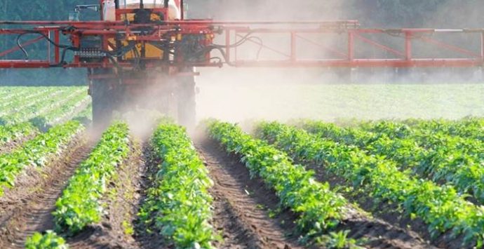 Agricoltura, a Cessaniti un corso per abilitarsi all’uso dei prodotti fitosanitari