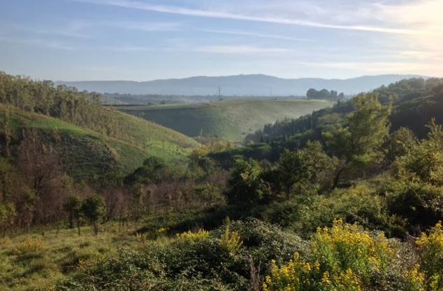 Discarica a Sant’Onofrio, Maragò replica a Villì: «È scorretto e ipocrita»