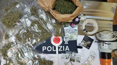 Laboratorio per la lavorazione della marijuana in casa, un arresto a Briatico