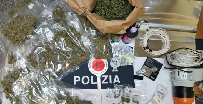 Laboratorio per la lavorazione della marijuana in casa, un arresto a Briatico