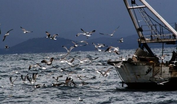 Vibo Marina: i problemi della pesca in un incontro con Nicodemo Oliverio (VIDEO)