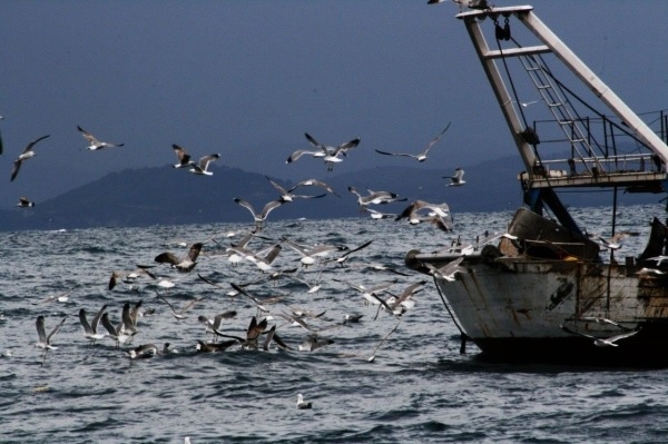 Addio a Silvia, l’ultima pescatrice di Vibo Marina (VIDEO)