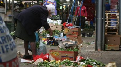 Il Vibonese sempre più povero: dal Banco alimentare numeri e cifre di una vera deriva sociale