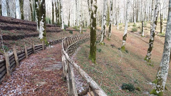 Sport e natura, a Fabrizia apre il nuovo percorso di Mountain bike “Faggio del re”