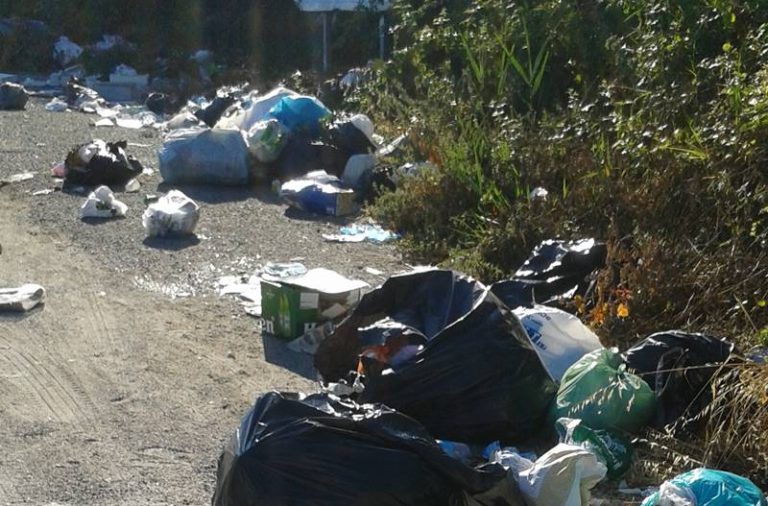 Vibo, la proposta del consigliere Lo Bianco: «Sequestro dell’auto per chi getta rifiuti in strada»