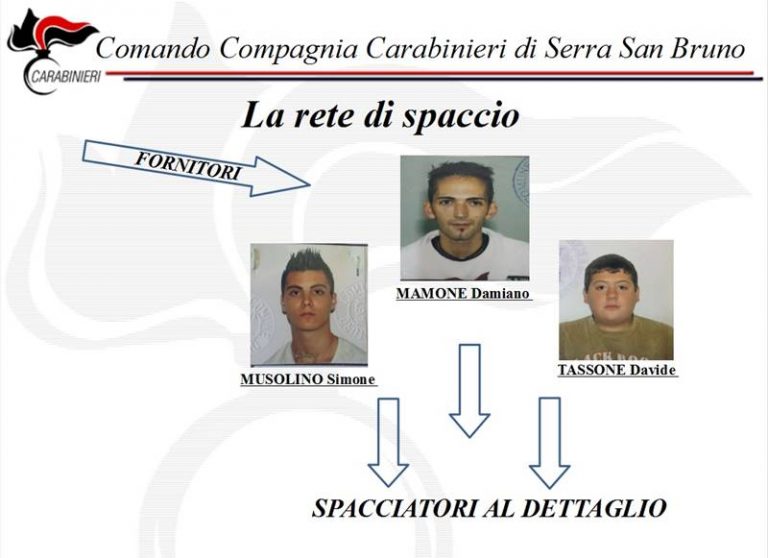 Droga nelle Serre vibonesi: ecco tutte le accuse a carico degli indagati (VIDEO)