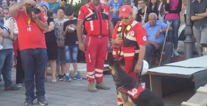 Dasà, i cani da soccorso protagonisti con “I love my pet”