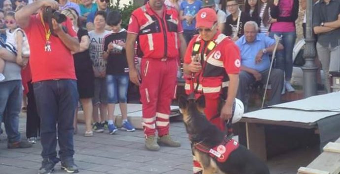 Dasà, i cani da soccorso protagonisti con “I love my pet”