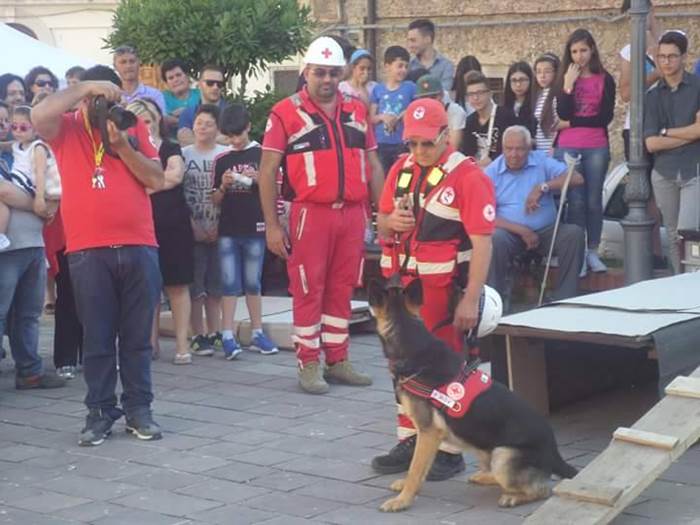 Dasà, i cani da soccorso protagonisti con “I love my pet”