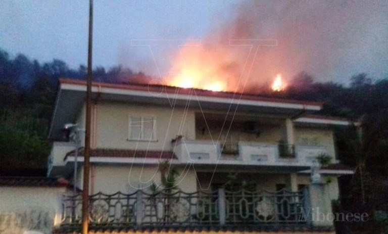 Brucia il Vibonese, vasto incendio a Dasà: evacuate due abitazioni
