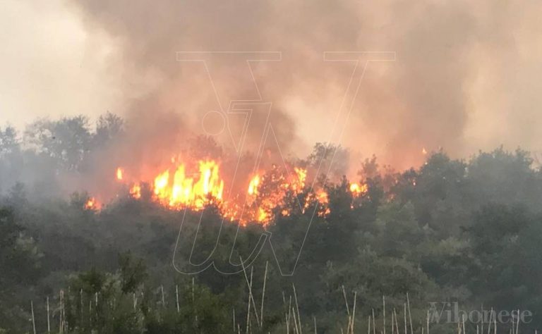 Inferno di fuoco nel Vibonese, oltre 60 interventi in due giorni